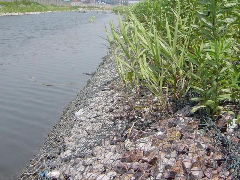 浙江綠格網(wǎng)墊