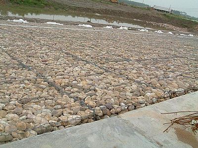 湖北高爾凡雷諾護(hù)墊